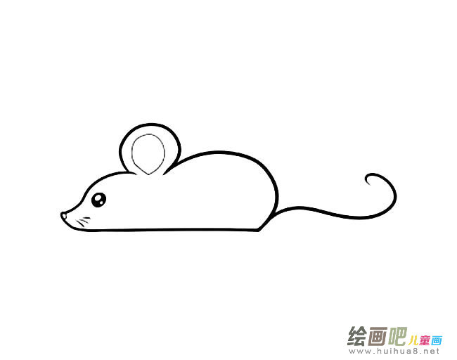 老鼠动物简笔画步骤图片大全