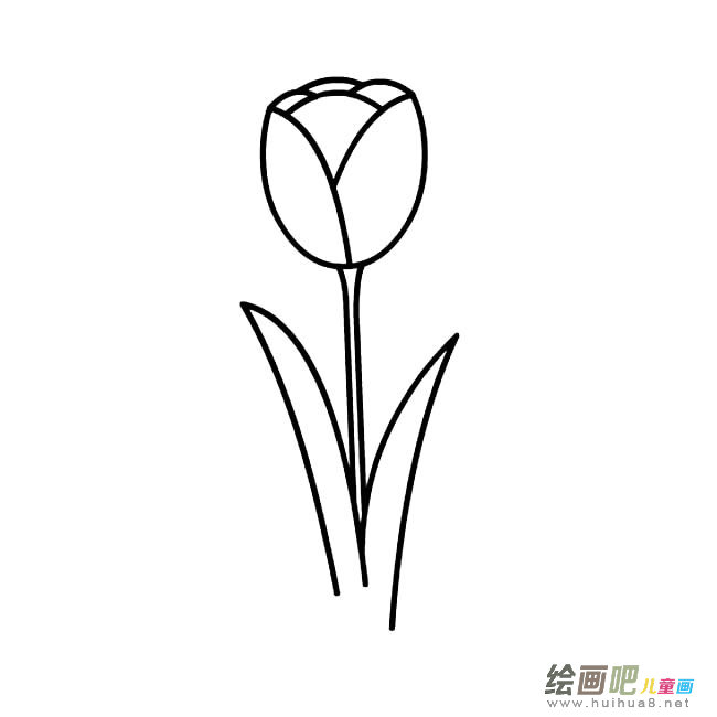 郁金香植物花简笔画步骤图片大全