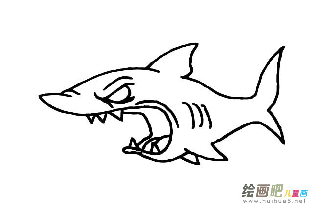 恐怖鲨鱼动物简笔画步骤图片大全