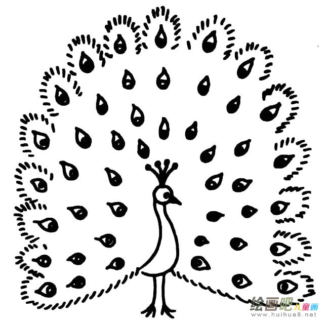 孔雀开屏动物简笔画步骤图片大全