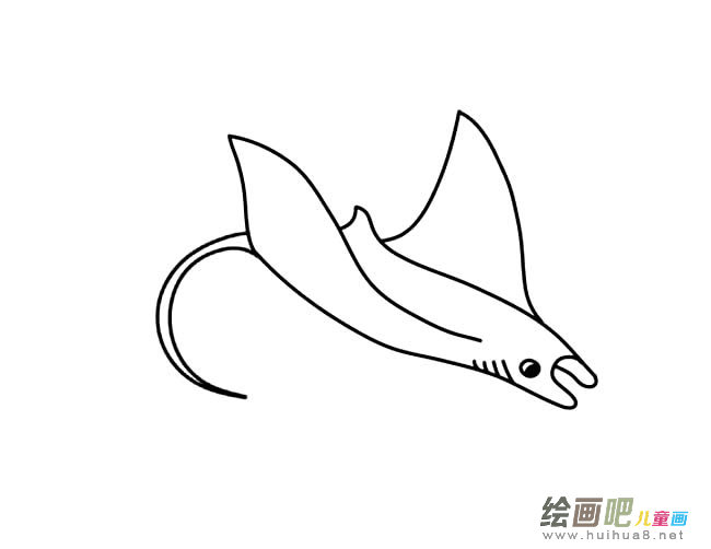 魔鬼鱼动物简笔画步骤图片大全