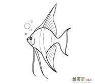 /jianbihua/dongwujianbi/30742.html