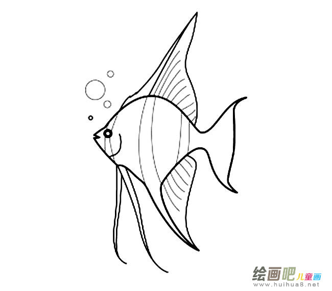 热带鱼动物简笔画步骤图片大全