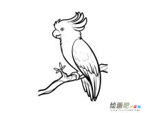 /jianbihua/dongwujianbi/30712.html