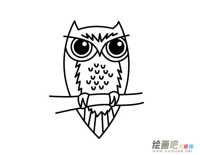 猫头鹰动物简笔画步骤图片大全