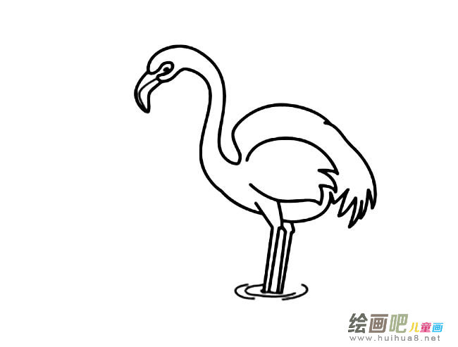 火烈鸟动物简笔画步骤图片大全