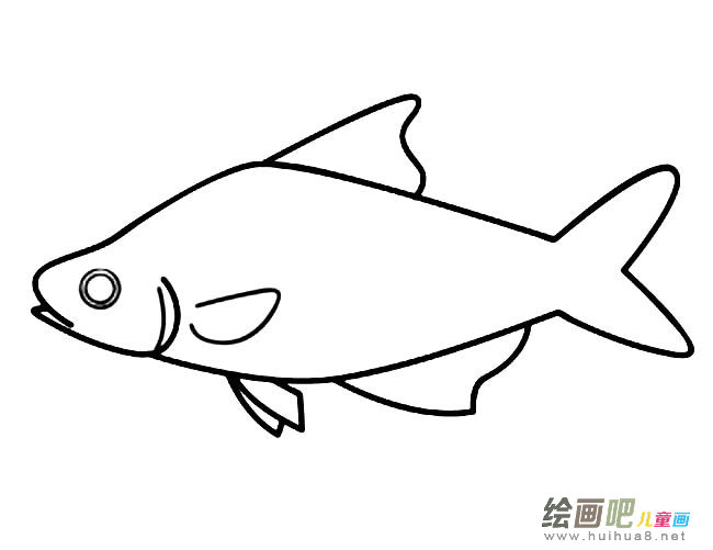 一只鱼动物简笔画步骤图片大全