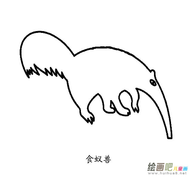 食蚁兽动物简笔画步骤图片大全