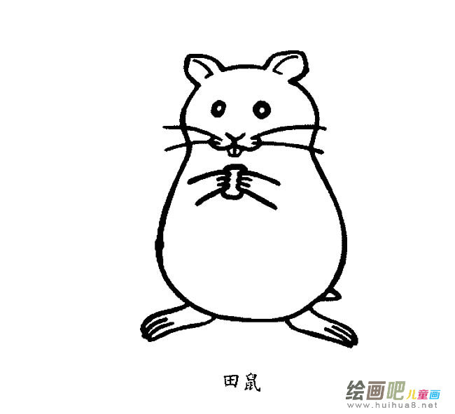 小田鼠动物简笔画步骤图片大全