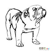 /jianbihua/dongwujianbi/30695.html