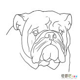 /jianbihua/dongwujianbi/30685.html