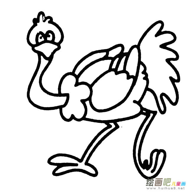鸵鸟动物简笔画步骤图片大全