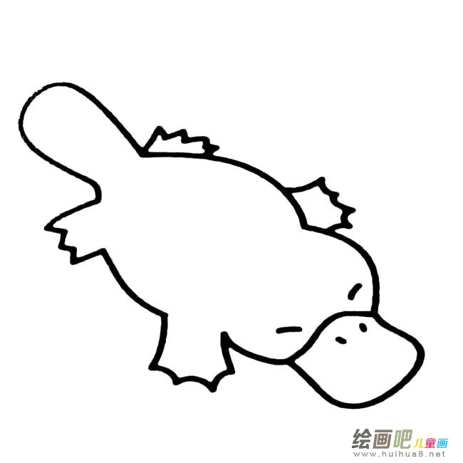 鸭嘴兽动物简笔画步骤图片大全