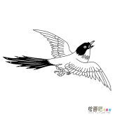 /jianbihua/dongwujianbi/30672.html