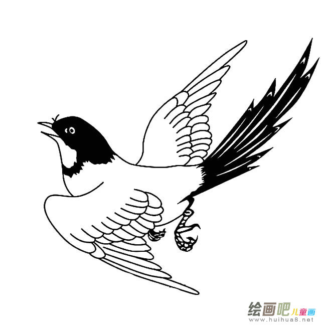 喜鹊鸟简笔画图片