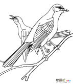 /jianbihua/dongwujianbi/30641.html