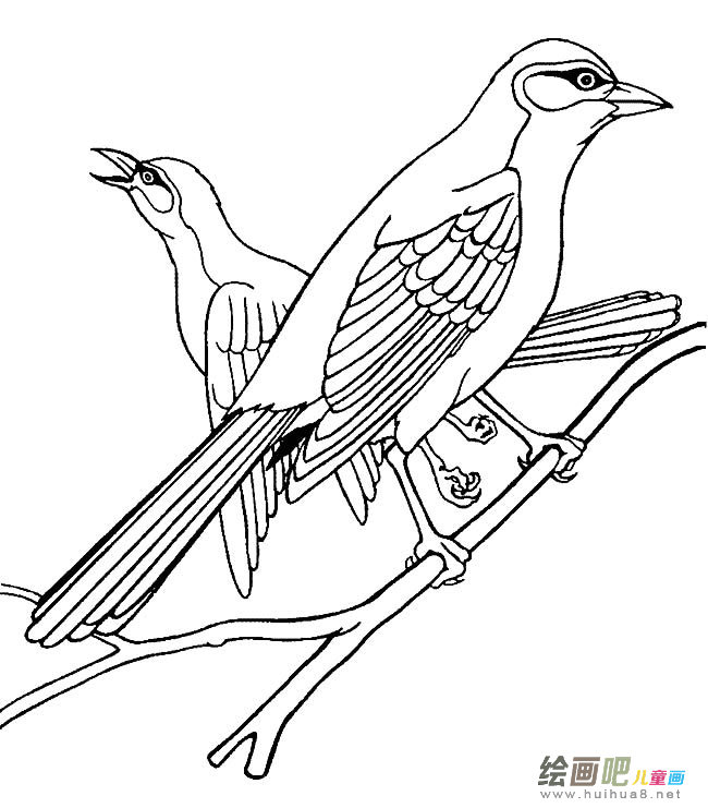 两只云雀简笔画图片