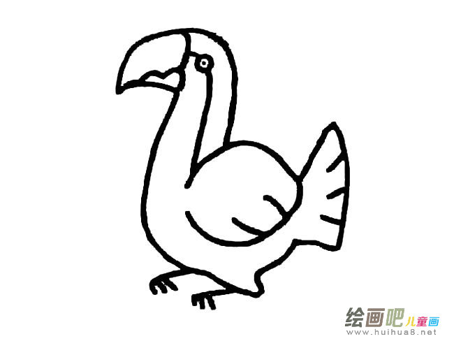 大嘴鸟简笔画图片