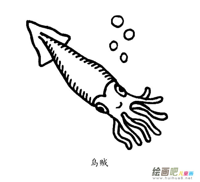 乌贼简笔画图片