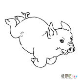 /jianbihua/dongwujianbi/30562.html