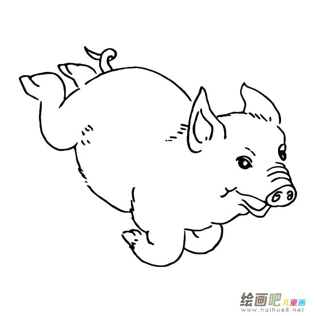 奔跑的猪简笔画图片