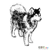 /jianbihua/dongwujianbi/30624.html