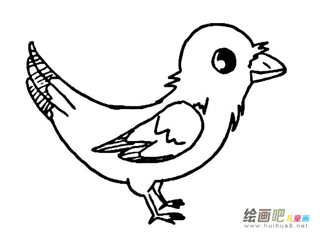 小鸟简笔画图片