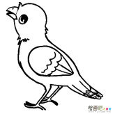 /jianbihua/dongwujianbi/30567.html