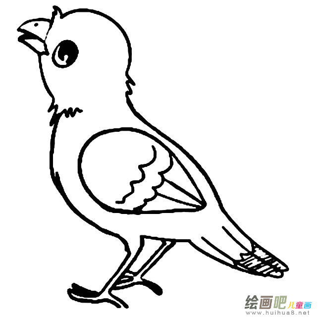 小鸟简笔画图片