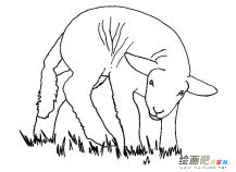 /jianbihua/dongwujianbi/30540.html