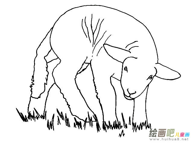 十二生肖羊简笔画图片