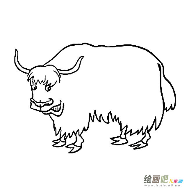 牦牛简笔画图片
