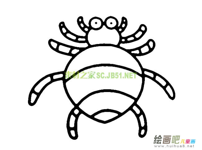 蜘蛛简笔画图片