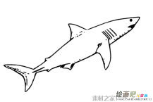 /jianbihua/dongwujianbi/30104.html