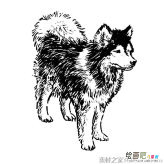 /jianbihua/dongwujianbi/30034.html