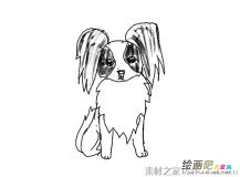 /jianbihua/dongwujianbi/30010.html