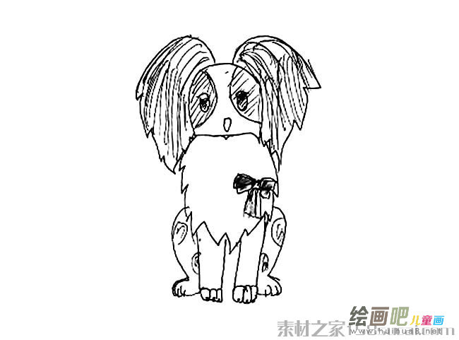 蝴蝶犬狗狗简笔画图片