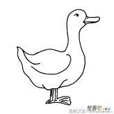 /jianbihua/dongwujianbi/30123.html