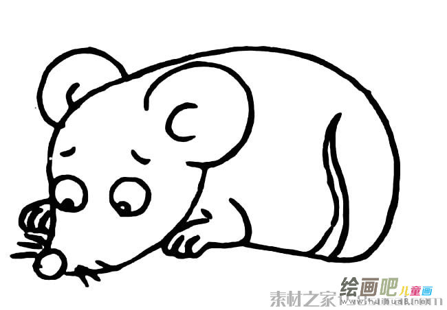 可爱小老鼠简笔画图片大全