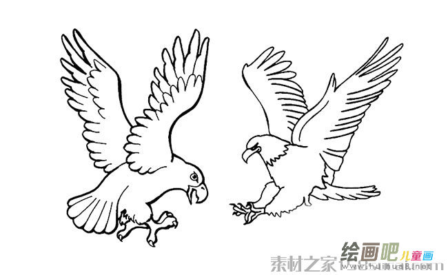 老鹰简笔画图片