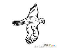 /jianbihua/dongwujianbi/29838.html