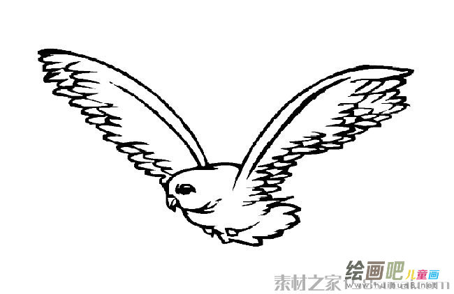 猫头鹰简笔画图片