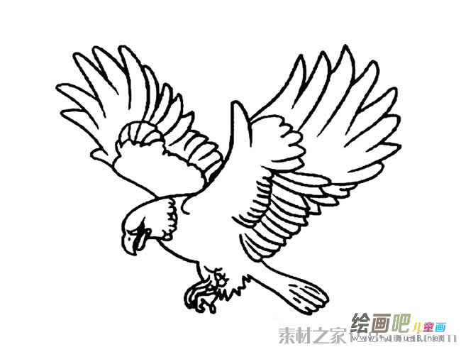 老鹰飞翔简笔画