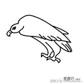 /jianbihua/dongwujianbi/29907.html