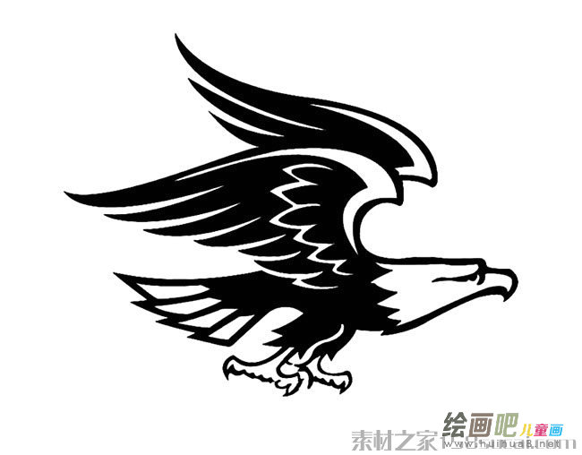 老鹰展翅简笔画图片