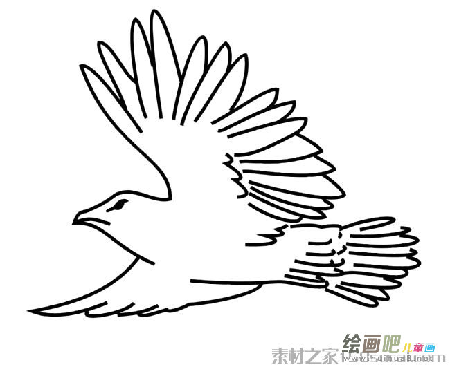 老鹰展翅简笔画图片