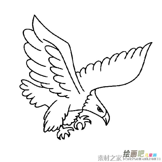 老鹰简笔画图片