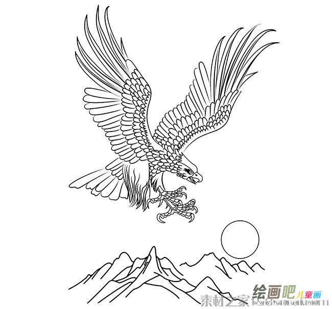 老鹰的简笔画图片