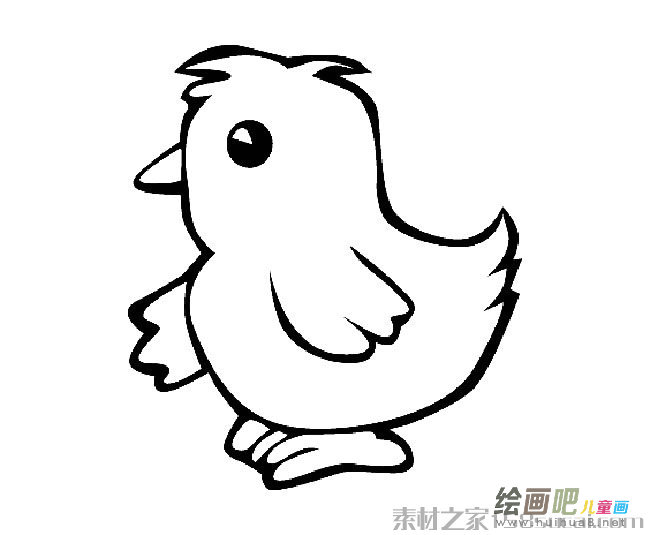 可爱小鸡简笔画图片