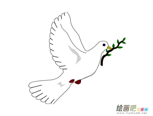 和平鸽简笔画图片